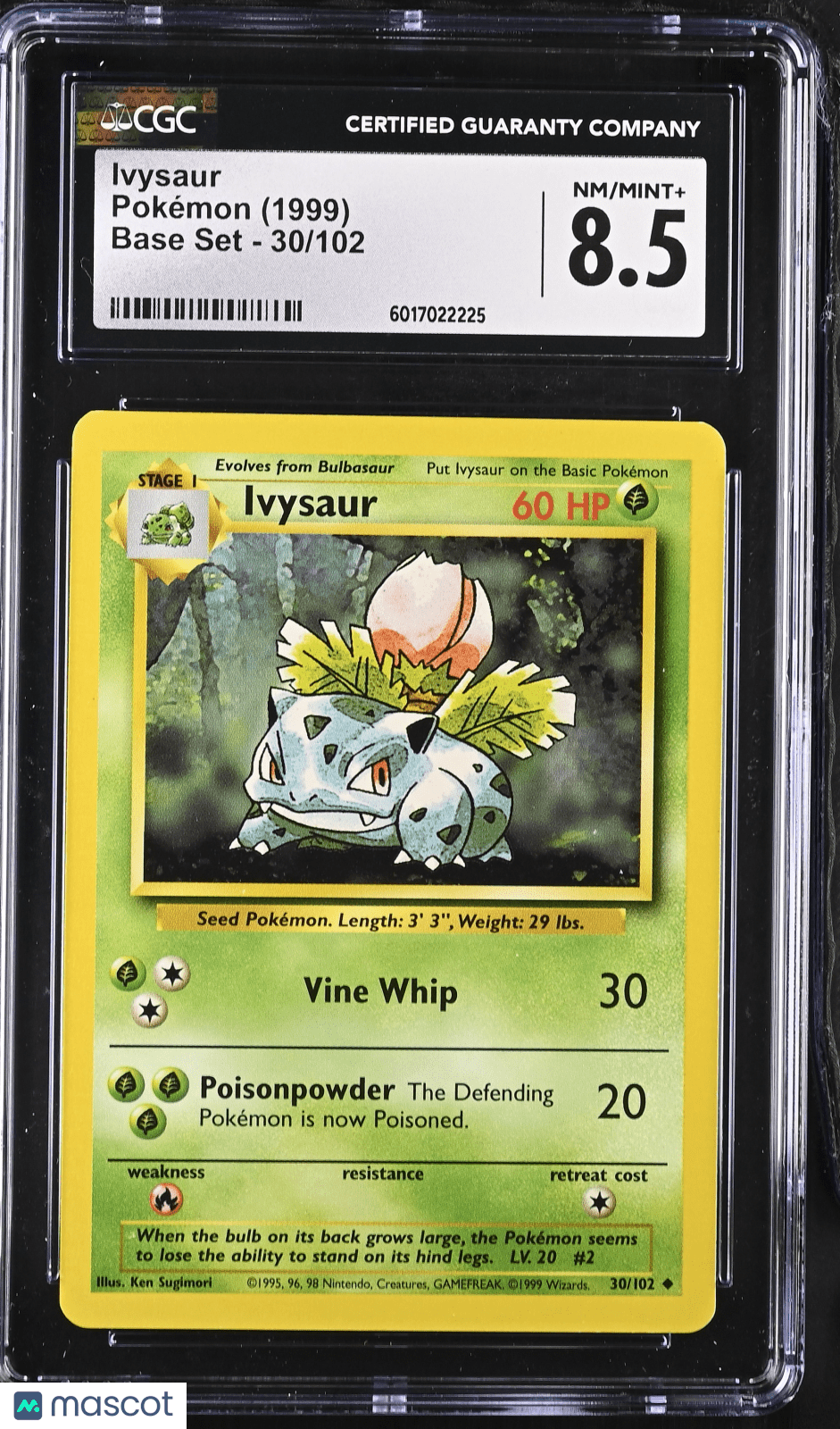 pokemon card ivysaur 30/102 (1999) PSA 8 Size:Japanese Mishra, Eminent One | Grass / 100 / english_pokemon-alt-art-singles