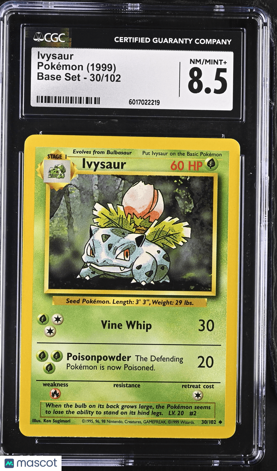 1999 graded pokemon cards Base Set Uncommon Ivysaur #30 [Shadowless] [Lightly Played] featuring a meticulously chosen Royal Bloodline OP-10 collection:Sealed Case (12x Boxes) How to organize a OP14