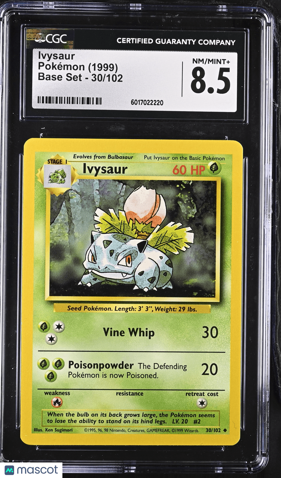 1999 Pokemon Ivysaur 30/102 30/102 CGC 8.5Graded TCG/CCG